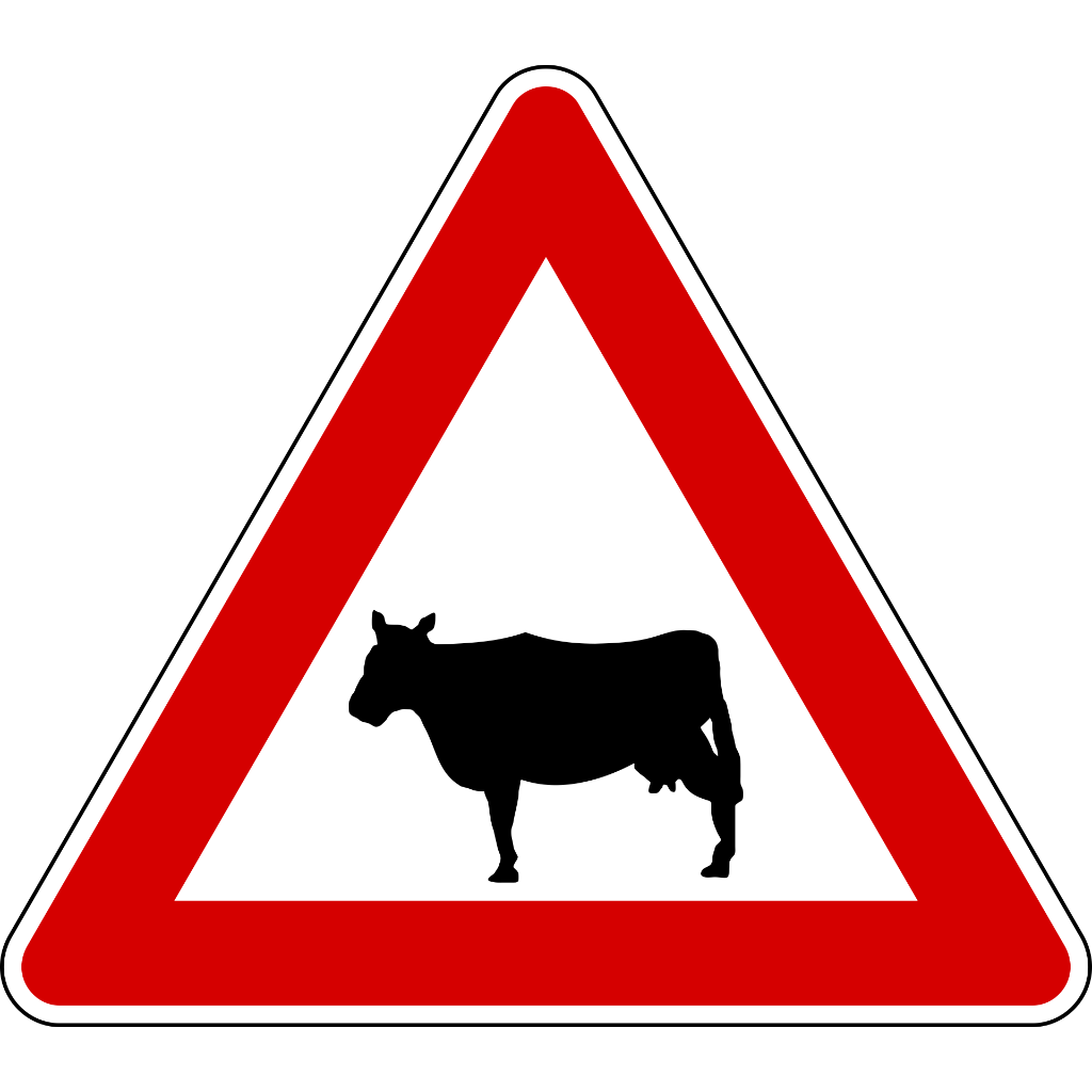 Animali domestici vaganti