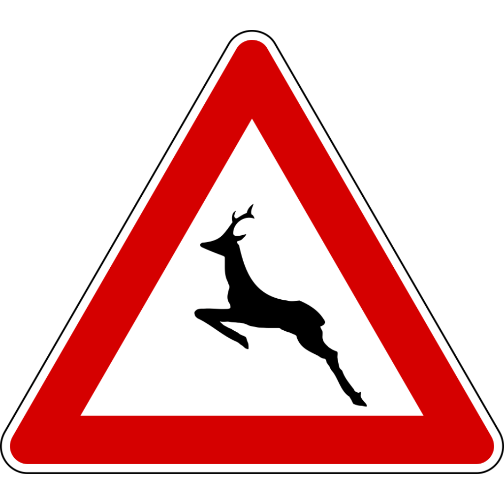Animali selvatici vaganti